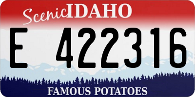 ID license plate E422316