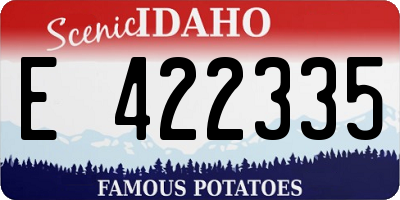 ID license plate E422335
