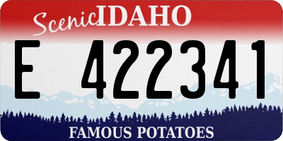 ID license plate E422341