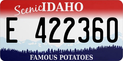 ID license plate E422360
