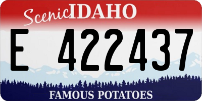 ID license plate E422437