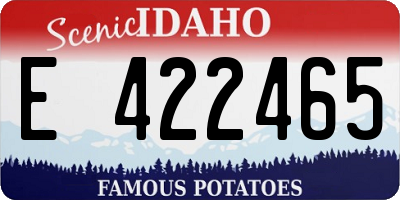 ID license plate E422465