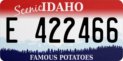 ID license plate E422466
