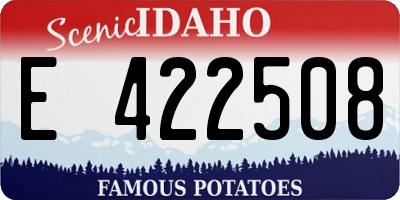 ID license plate E422508