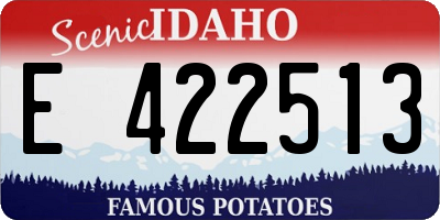 ID license plate E422513