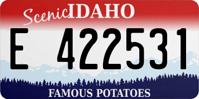 ID license plate E422531