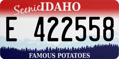 ID license plate E422558