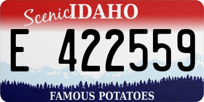 ID license plate E422559