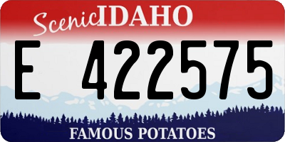 ID license plate E422575
