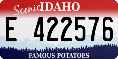 ID license plate E422576