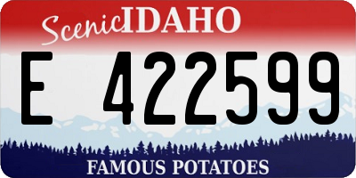 ID license plate E422599