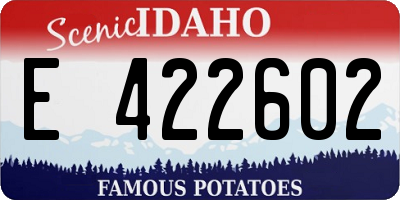 ID license plate E422602