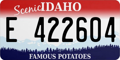 ID license plate E422604