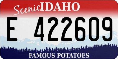 ID license plate E422609