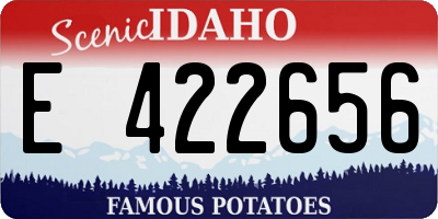 ID license plate E422656