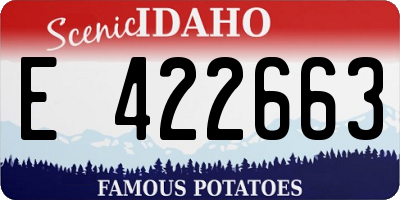 ID license plate E422663