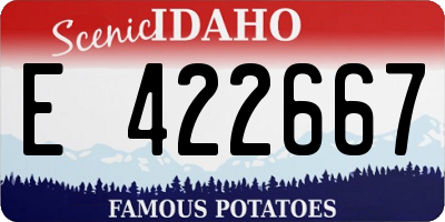 ID license plate E422667