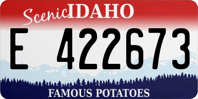 ID license plate E422673