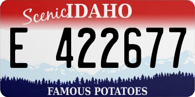 ID license plate E422677