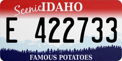 ID license plate E422733