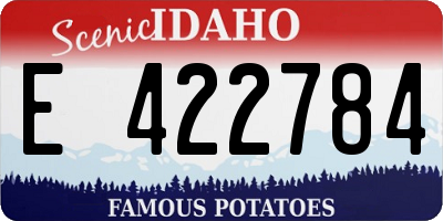 ID license plate E422784