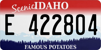 ID license plate E422804