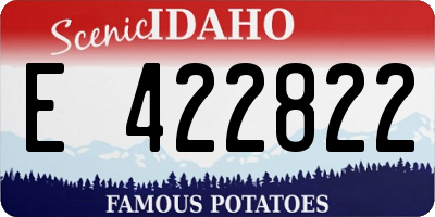 ID license plate E422822