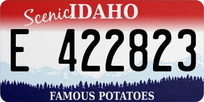 ID license plate E422823