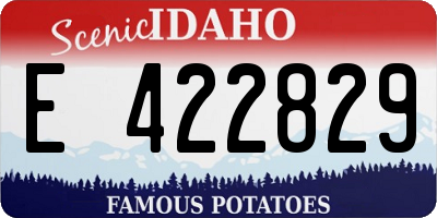 ID license plate E422829