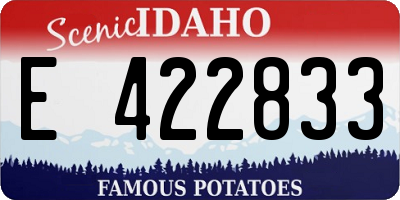 ID license plate E422833