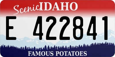 ID license plate E422841