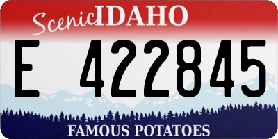 ID license plate E422845