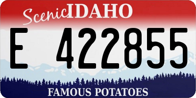 ID license plate E422855