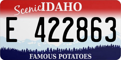 ID license plate E422863