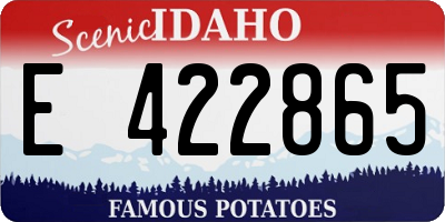 ID license plate E422865