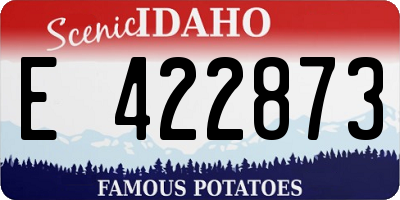 ID license plate E422873