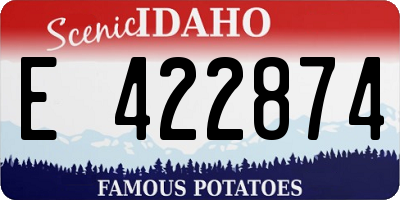 ID license plate E422874
