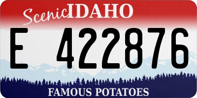 ID license plate E422876