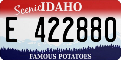 ID license plate E422880