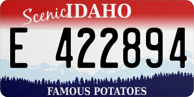 ID license plate E422894