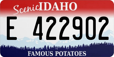 ID license plate E422902