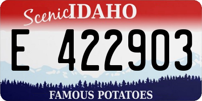 ID license plate E422903