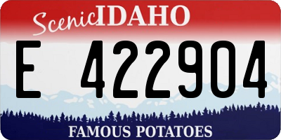 ID license plate E422904