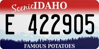 ID license plate E422905