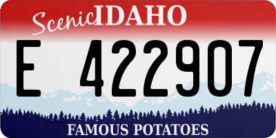 ID license plate E422907