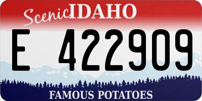 ID license plate E422909