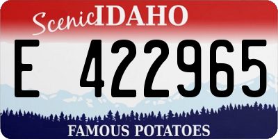 ID license plate E422965