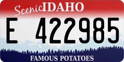 ID license plate E422985