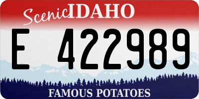 ID license plate E422989