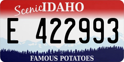 ID license plate E422993